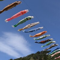 Terroir愛と胃袋 - 