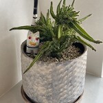 カレー すみた - 