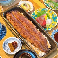 京都祇園うなぎ四代目菊川 - 