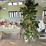 アサイーラボ - 