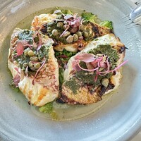 THE APOLLO - 真鯛のグリル