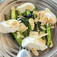 THE APOLLO - アスパラガス