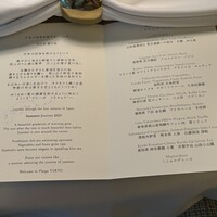 Plaiga TOKYO - 