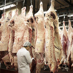 本格焼肉・韓国家庭料理 食辛房 - メイン写真: