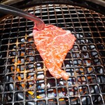 WAGYU BANK - 