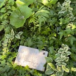 いきぬきどころ/きんど - 