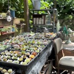 いきぬきどころ/きんど - 