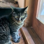 いきぬきどころ/きんど - 