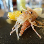 シクラメンテ - 