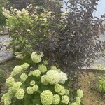 ビストロ ヨシ - 