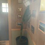 ビストロ ヨシ - 