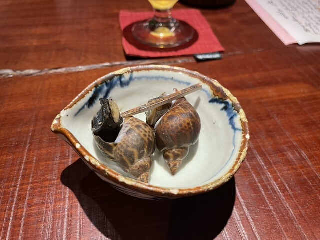 Kotatsu Neko photo 2