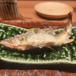 水づき - 『長良川の鮎の塩焼き』