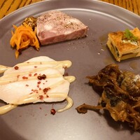 ブラチェリア バーヴァ - 