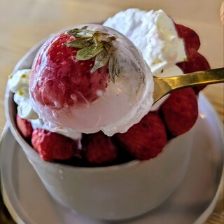 カフェ・ド・ミスティコ_1