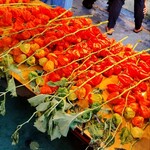 つるや - ほおずき