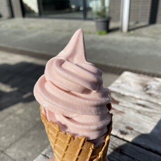 キッチン とれたて_1