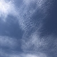 はり重 道頓堀本店 - 