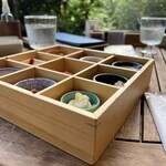 バードツリー - 