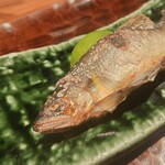 水づき - 『長良川の鮎の塩焼き』