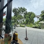 ​under the cascade - 