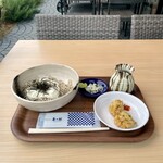 房乃蕎麦 - 料理写真:冷やしとろろそば　かき揚げ2個