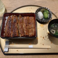 うなぎ 目白ぞろ芽 - 