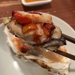 マリスコ - キルパトリック