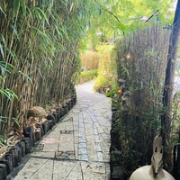 九つ井 本店 - 