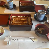 鰻割烹 伊豆栄 本店 -  鰻割烹 伊豆栄 本店 -