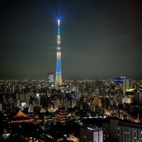 THE DINING シノワ唐紅花＆鉄板フレンチ蒔絵 - 