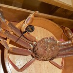 かにじぇんぬ 北新地 - 