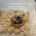 ナチュール・エ・サンス - 