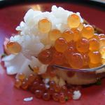 焼肉トラジ - トントロチャーシューの美食丼１２００円