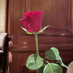 ザ ロビーラウンジ - 卓上のバラ