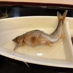 山玄茶 - 安曇川の鮎