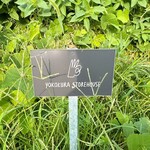 ヨコクラストアハウス - 