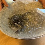 柚木元 - 天龍鮎