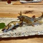 柚木元 - 鮎塩焼き