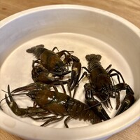 柚木元 - ウチダザリガニ