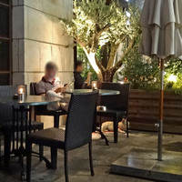 grigio la tavola - お利口なフレンチ・ブル