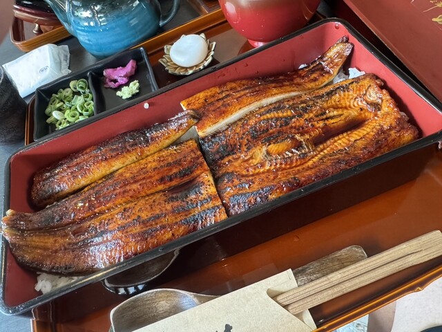 うな希゛ 希々花 中百舌鳥店 （UNAGI NONOHA） - 百舌鳥八幡/うなぎ