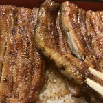 うなぎ 目白ぞろ芽 - 