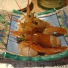 海鮮炉端 釧路っ子 - 