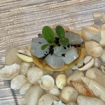 ナチュール・エ・サンス - 