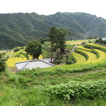 オリビアン小豆島 - 中山の千枚田