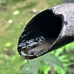 ぼうず'n coffee - 