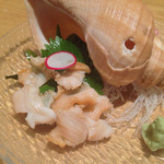 Sumiyaki Tokoro Kitaguni - ツブ貝刺