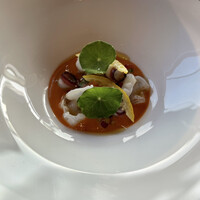l'elan - 
