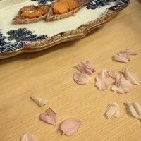 山玄茶 - 薄いピンクの桜の花びら。栞にしたくなるね。